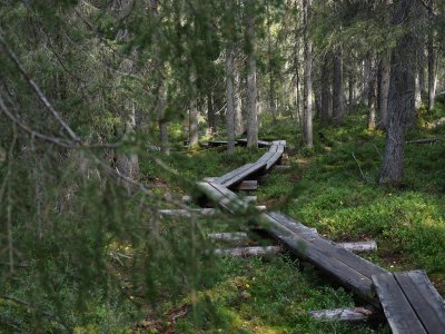 Wanderparadies am Ylläs