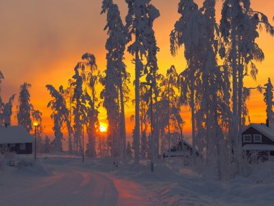 Sonnenaufgang über Lappland